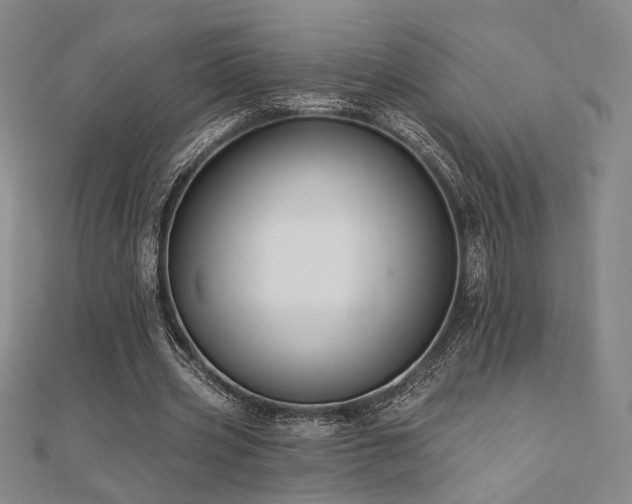 X0000110700533200906121335