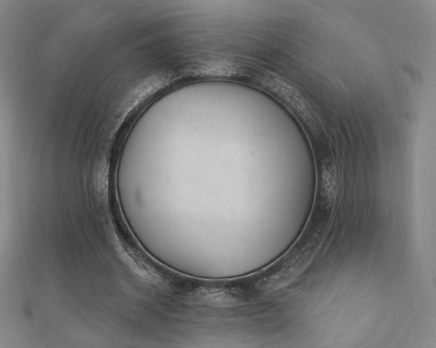 X0000110700534200906121335