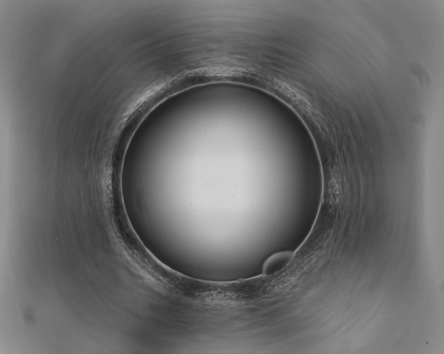 X0000110700535200906121335