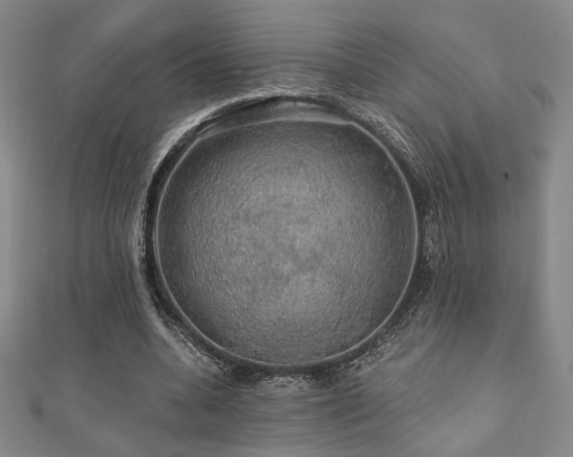 X0000110700536200906121335
