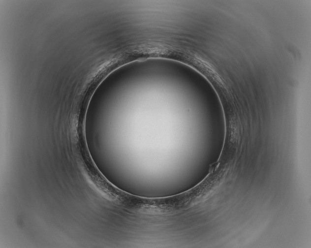 X0000110700538200906121336