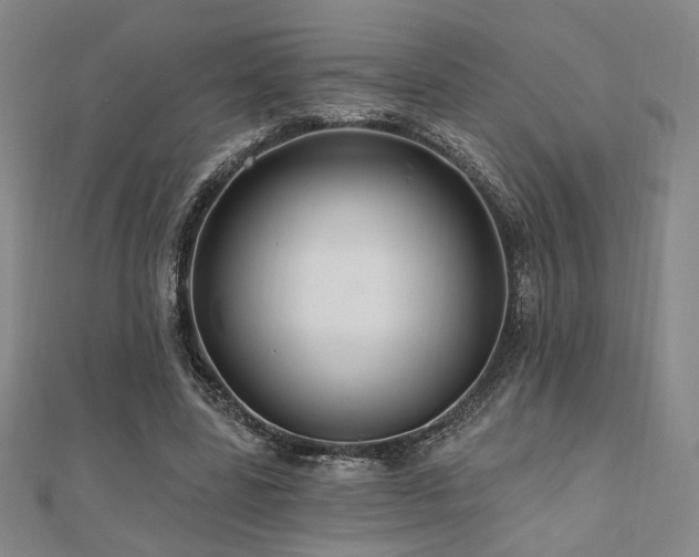X0000110700539200906121336