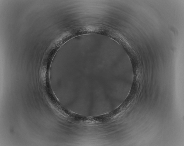 X0000110700542200906121336