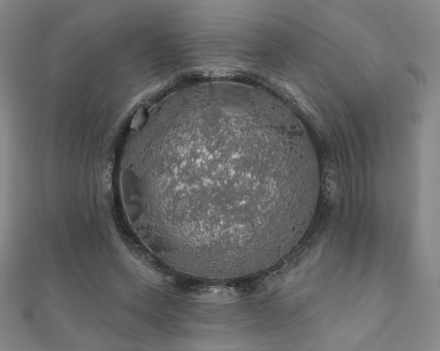 X0000110700543200906121336