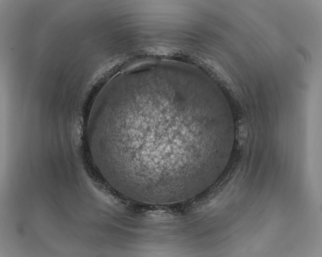 X0000110700544200906121336