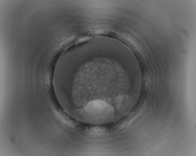 X0000110700546200906121336