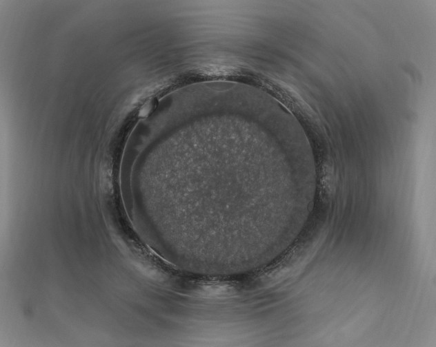 X0000110700547200906121336