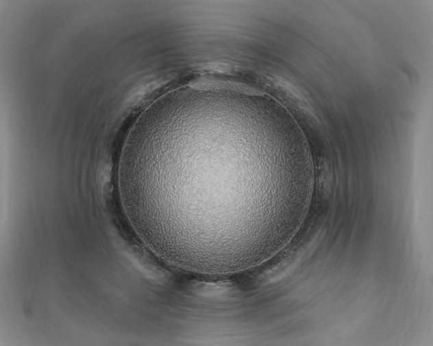 X0000110700548200906121336