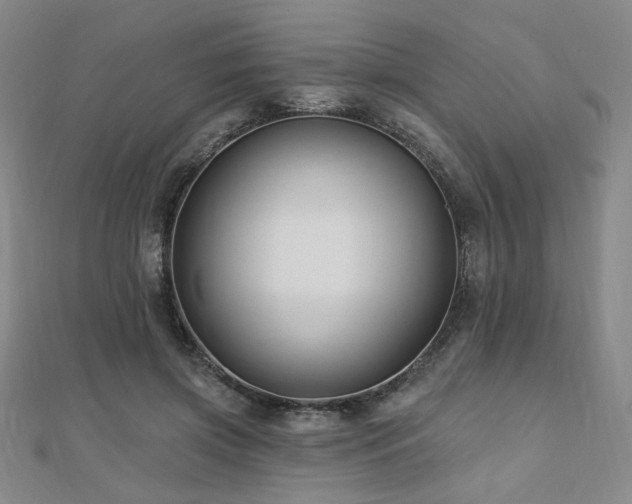 X0000110700549200906121336