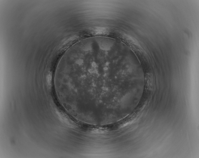 X0000110700550200906121336