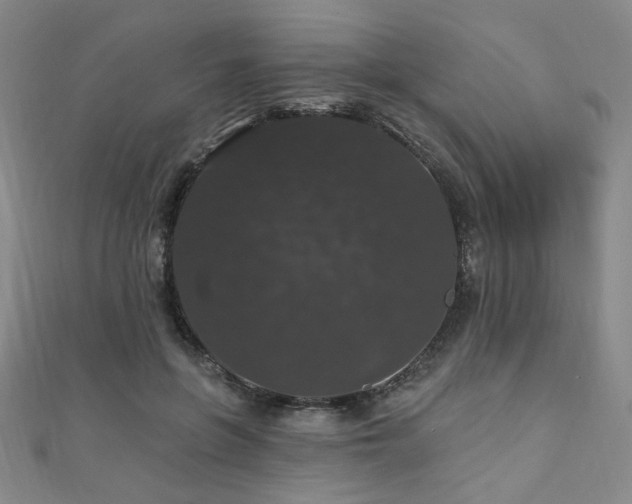 X0000110700551200906121336