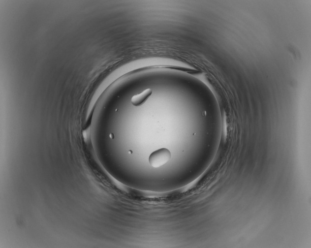 X0000110700552200906121336