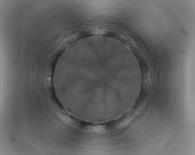 X0000110700553200906121336