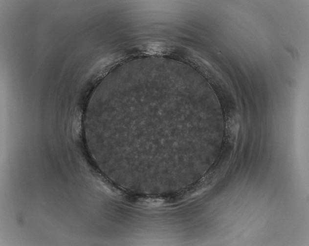X0000110700554200906121336