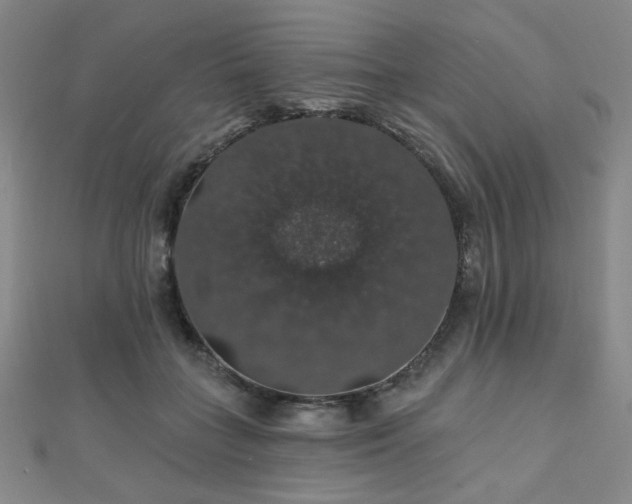 X0000110700555200906121336