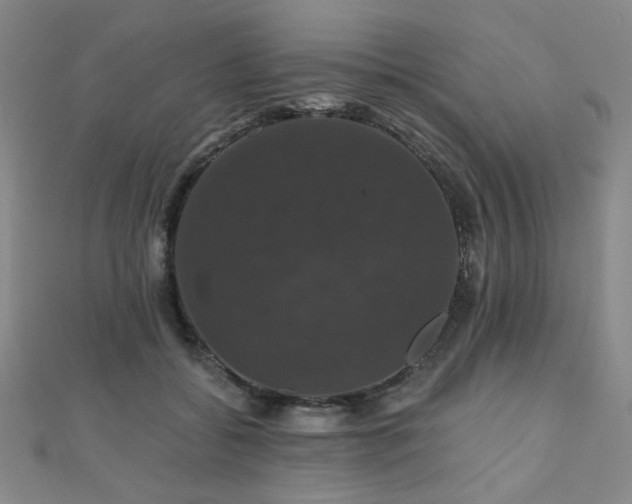 X0000110700556200906121336