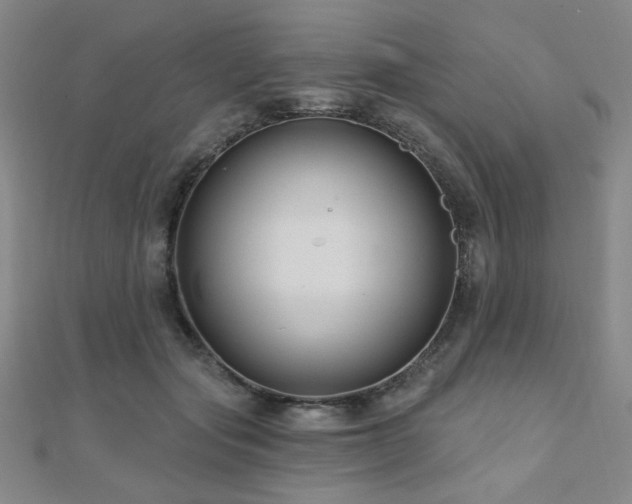 X0000110700557200906121336