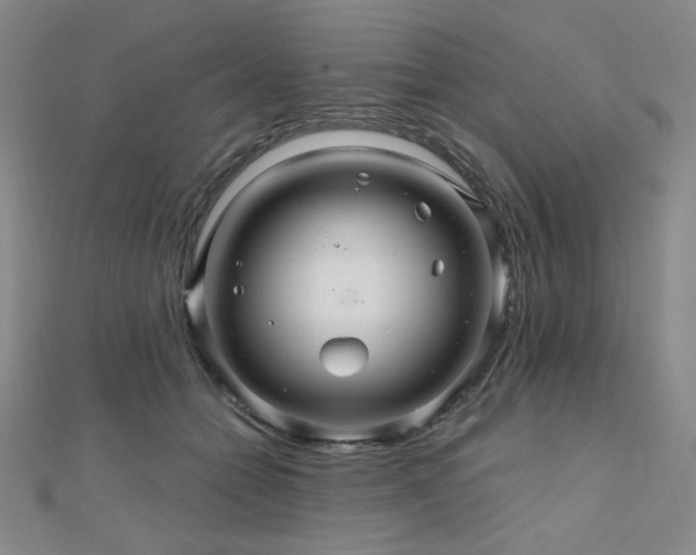 X0000110700558200906121336