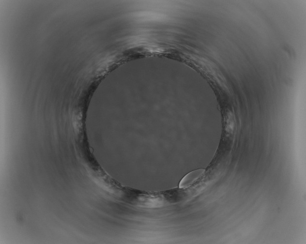 X0000110700559200906121336