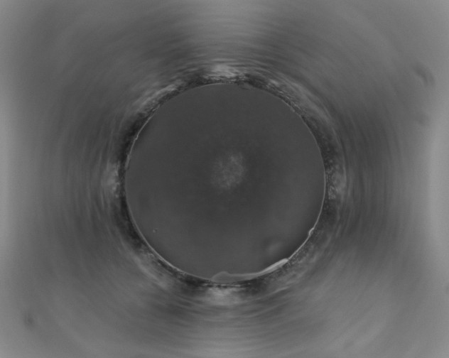 X0000110700560200906121336