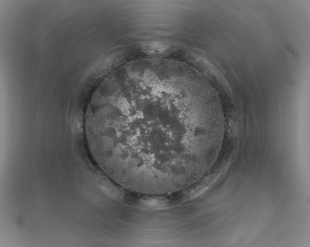 X0000110700561200906121336