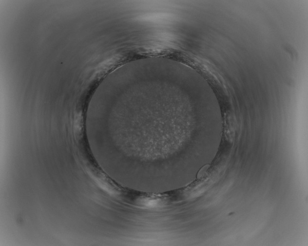 X0000110700563200906121336