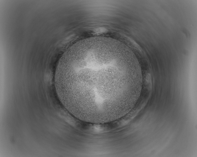 X0000110700565200906121336
