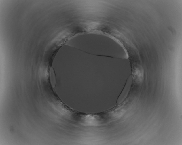 X0000110700566200906121336