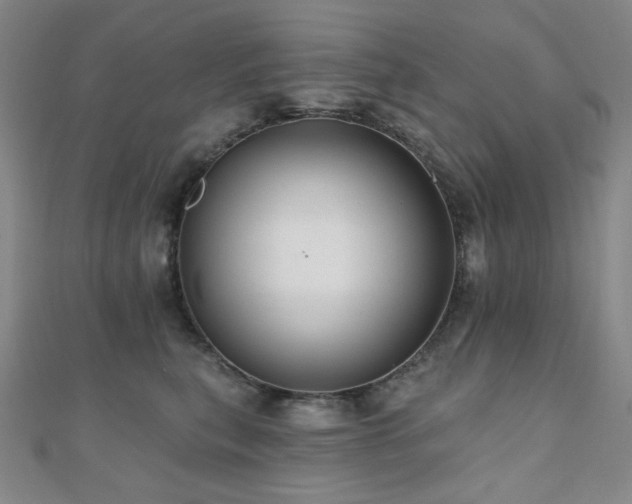 X0000110700567200906121336