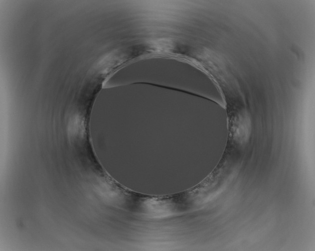 X0000110700568200906121336