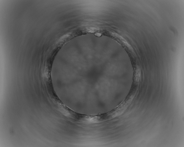 X0000110700569200906121336