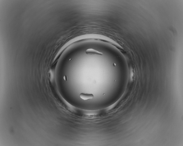 X0000110700570200906121336