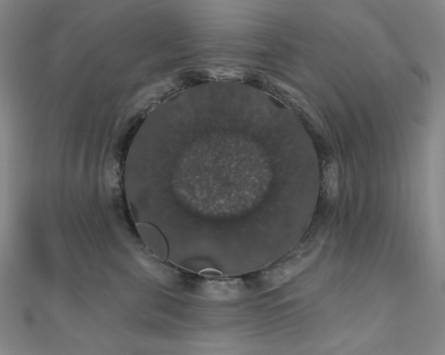 X0000110700571200906121336