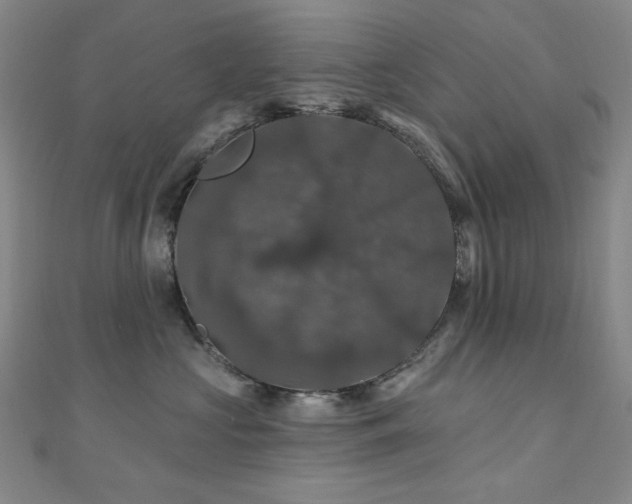 X0000110700573200906121336