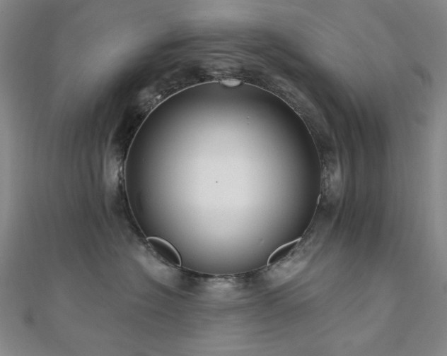 X0000110700574200906121336