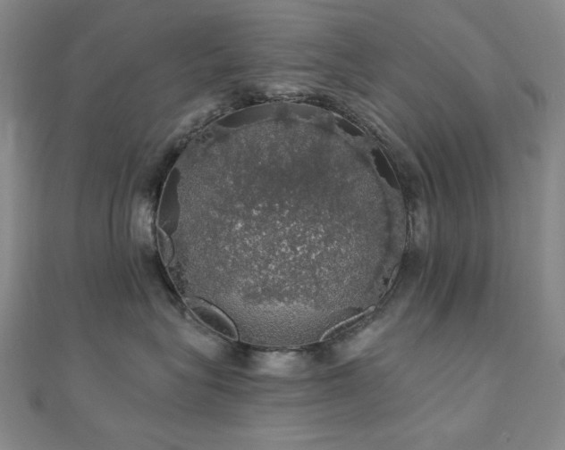 X0000110700575200906121336