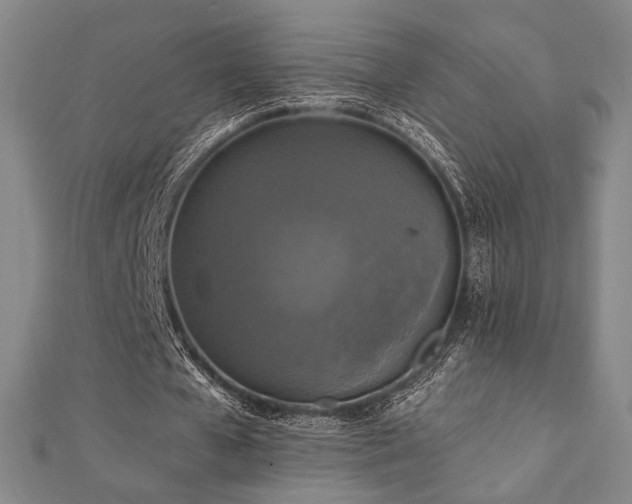 X0000110700577200906121335