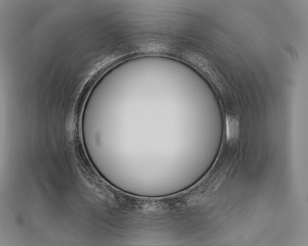 X0000110700579200906121335