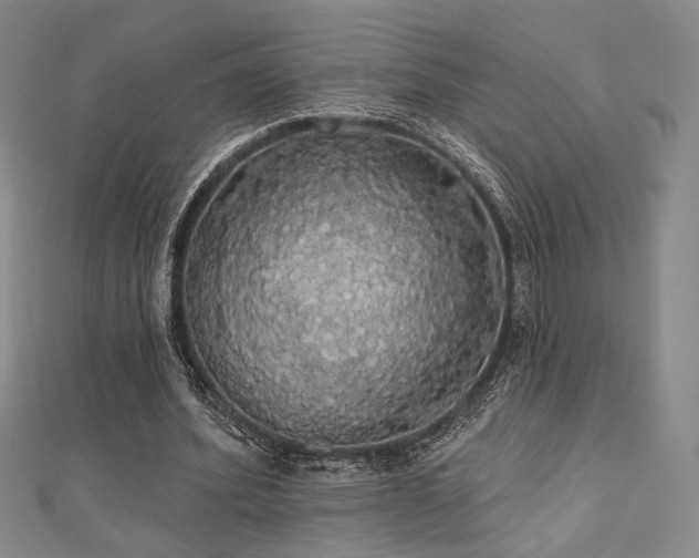 X0000110700580200906121335