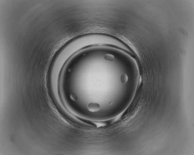 X0000110700581200906121335