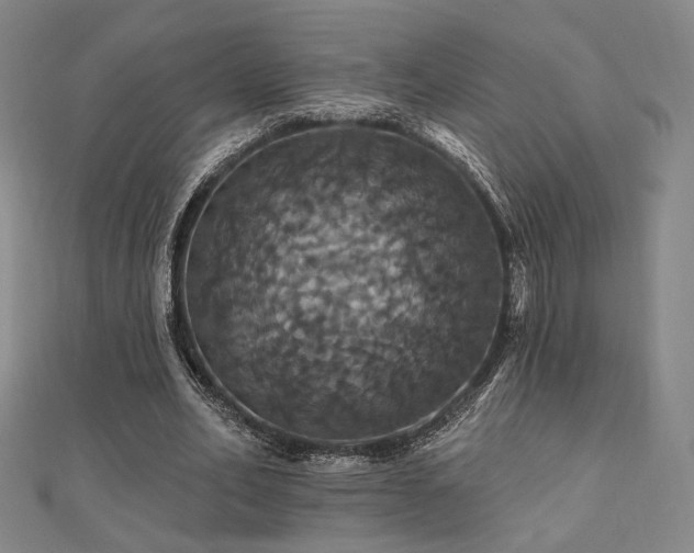 X0000110700582200906121335