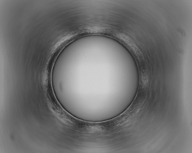 X0000110700583200906121335
