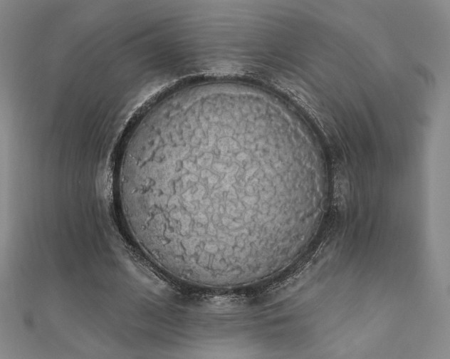 X0000110700584200906121335