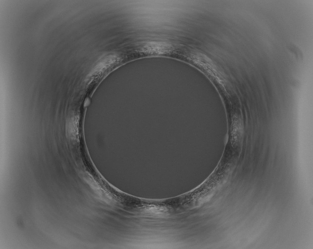 X0000110700585200906121335