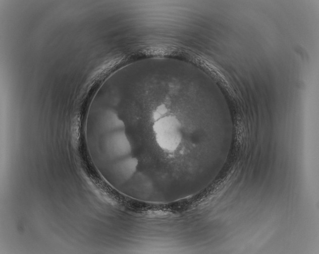 X0000110700586200906121335