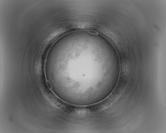 X0000110700587200906121335