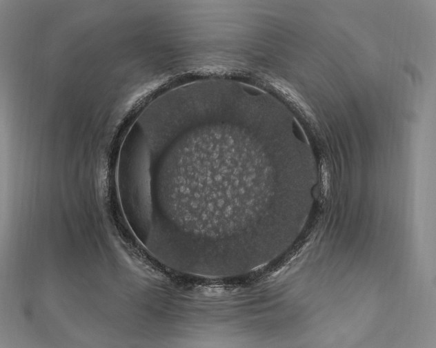 X0000110700588200906121335