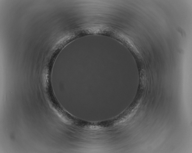 X0000110700590200906121335