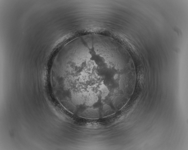 X0000110700591200906121335