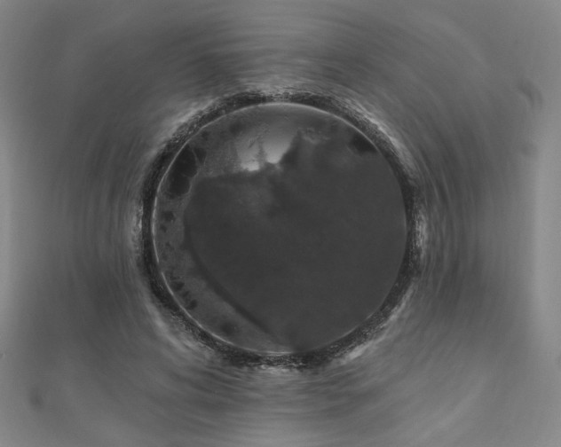 X0000110700592200906121335